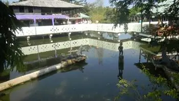 Крокодиловый пруд в Гане.