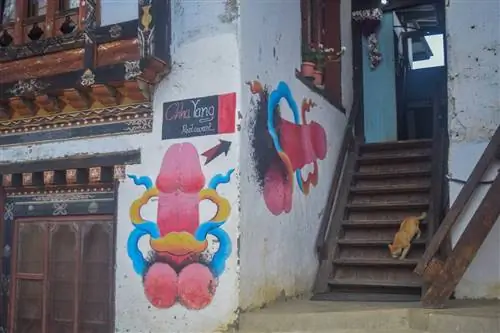 В этой небольшой деревне здания украшены фаллическими изображениями.