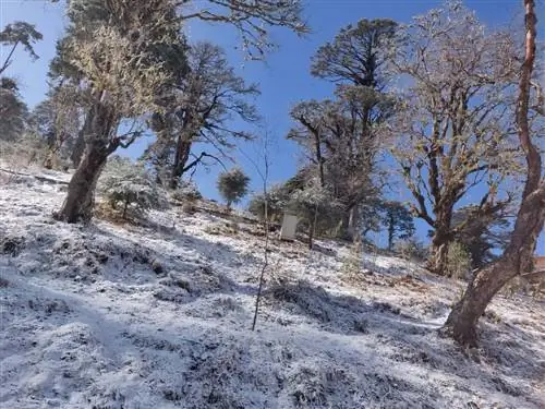 Дочу-Ла Пасс