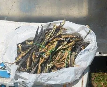 Сушеный баклажан, распространенный ингредиент бутанской кухни.