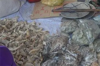 Сушка грибов.