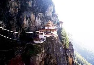 Гнездо тигра было построено на отвесной скале.