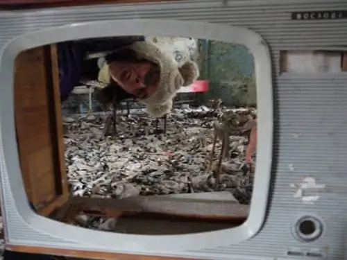 вид на телевизор