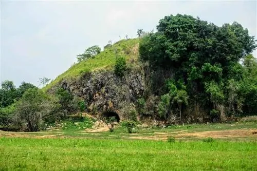 Пещера на кувшине 1, Равнина кувшинов, Лаос.