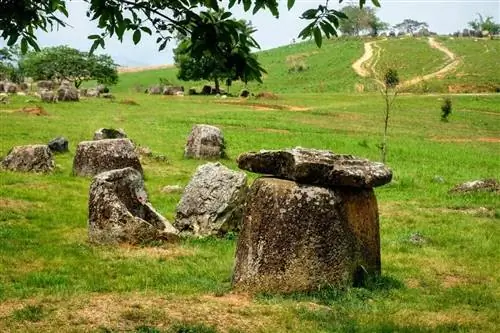 Банка с крышкой на участке 1, Равнина банок, Лаос