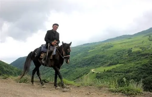 Кала корейский всадник. Кала корейский всадник.