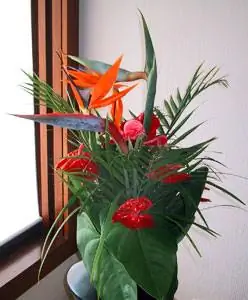 Цветы на курорте Оберой на Маврикии.