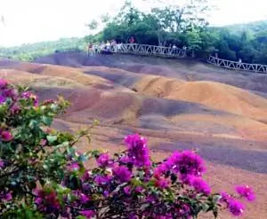 Вулканический пепел на Маврикии.