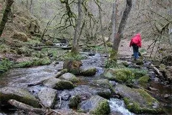 Прогулка прошла через ручьи, леса и поля во Франции. Прогулка прошла через ручьи, леса и поля во Франции.