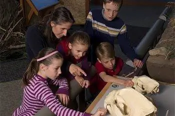 Десять лучших учебных каникул для всей семьи