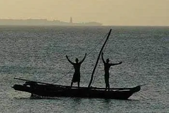 Из Замбии в Занзибар: Поездка на поезде в рай