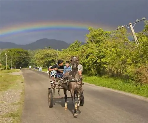 Телега возле Кахобадо, Куба. Фотографии Мэтью Кэди.