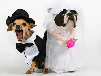 Альтернативный свадебный прием, если вы не получили приглашение на королевскую свадьбу. фото: Саутбэнк Центр.