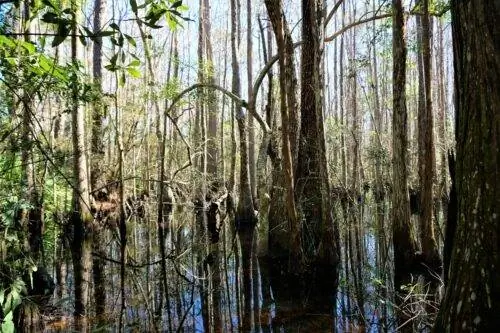 Зона отдыха Seven Creeks предлагает бесконечные исследования на свежем воздухе. На фото Нэнси Морленд.