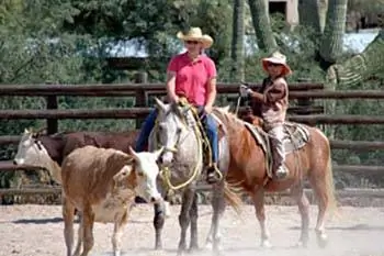 Эд Наездника: Гармония с Лошадями
