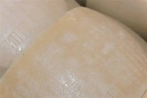 Кожура, прежде чем она превратится в корку