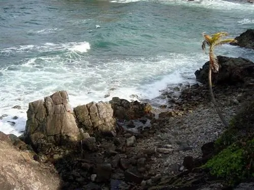 Морской пейзаж Галера-Пойнт, Токо.