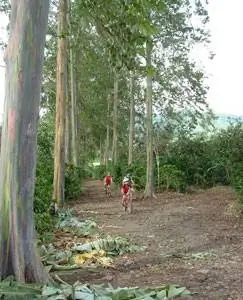 Езда на велосипеде в Центре тропических сельскохозяйственных исследований и высшего образования Коста-Рики - фотографии предоставлены Adventure Life