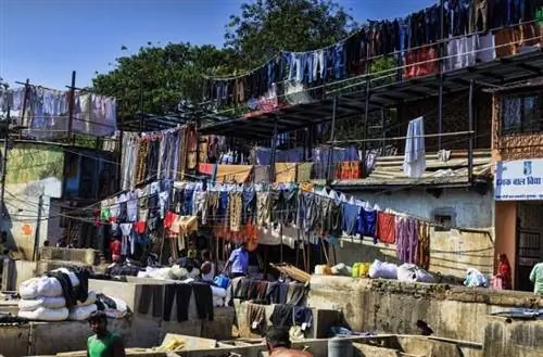 IMG_4539средний