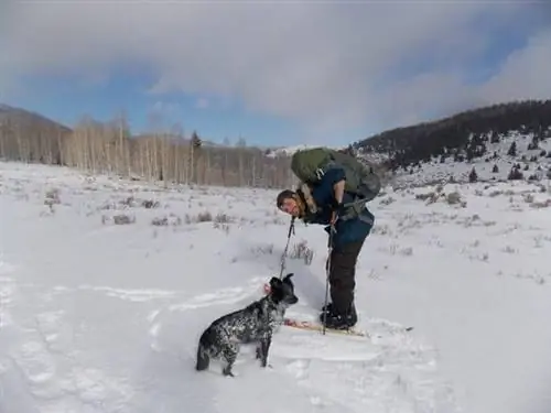 Мальчик и его собака по дороге в юрту.