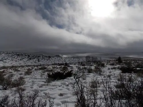 Национальный лес Эшли в зимнем отдыхе.