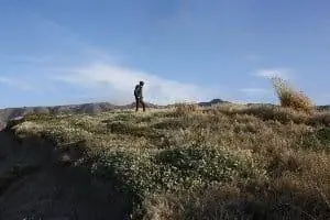 Прогулка по пустынному острову.