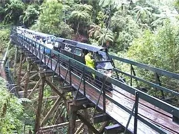 Wobadge - Дождевой лесной экспресс