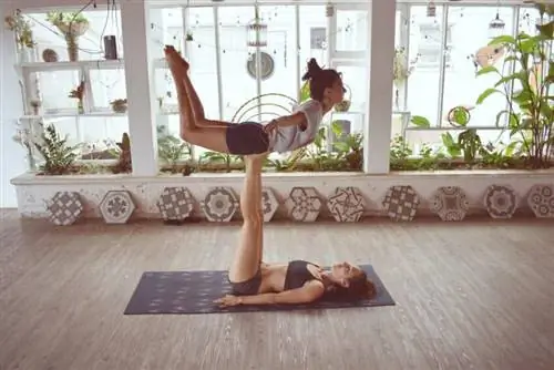 прикольная птица 1