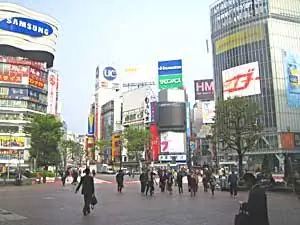 Перекресток Сибуя в Токио. Женское путешествие Токио