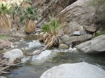 Водопад «Семь сестер» недалеко от Палм-Спрингс, Калифорния. фотографии Ингрид Харт.