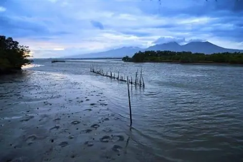 Вид на Майон и Албай в Тикао.