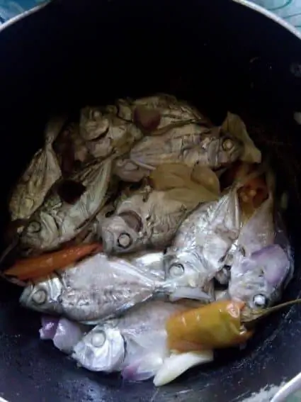 Рыбы всех мастей в изобилии в Тикао.