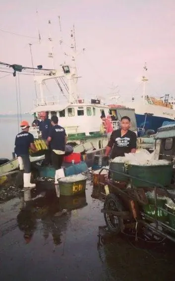 Закон о загрузке, местная рыба, в Тикао.