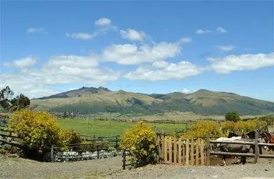 Садитесь на лошадь и совершите самую запоминающуюся поездку в своей жизни.