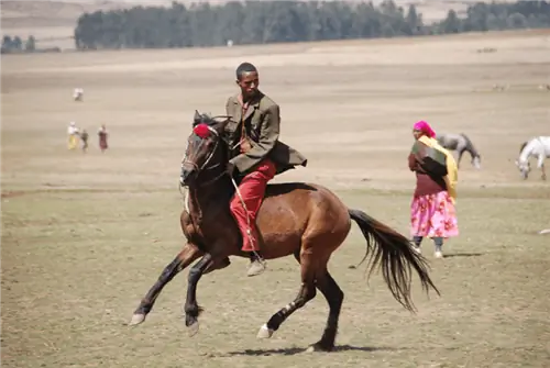 Всадник оромо скачет по равнине в Бейле.