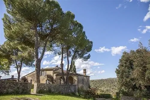 Спаннохия, любезно предоставлено spannochia.com