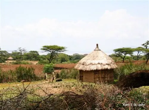 Традиционная соломенная хижина в Рифт-Валли в Эфиопии