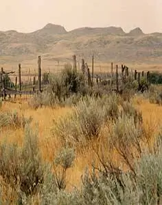 Пастбища в долине реки Френчмен к югу от Валь-Мари