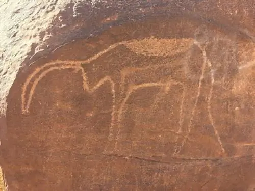 Петроглифы, созданные древними людьми в пещере в Алжире.