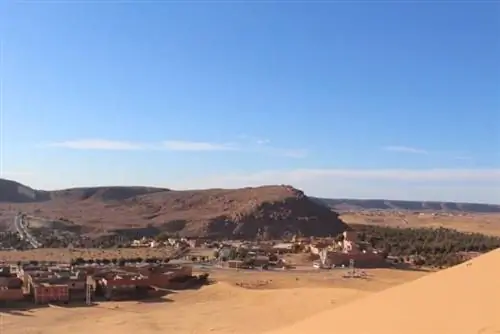 Глядя в оазис