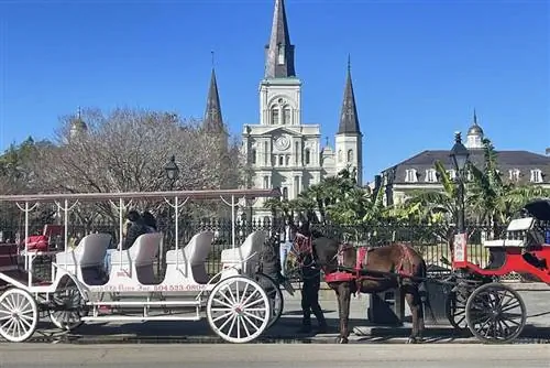 Новоорлеанская карета