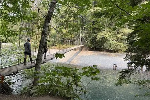 подвесной мост