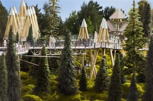 Таппер-Лейк, Нью-Йорк: Прогулка по деревьям в Диком центре