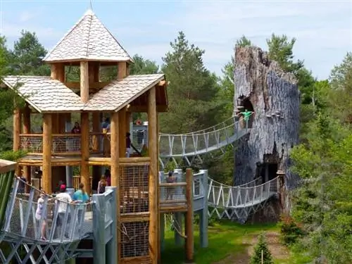 Висячие мосты и выдолбленная белая сосна - все это часть Wild Walk в Wild Center. Фото Pink Me Not.