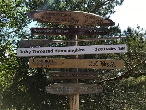 Импровизированный знак в The Wild Center, указывающий на разные места поблизости и вдали.