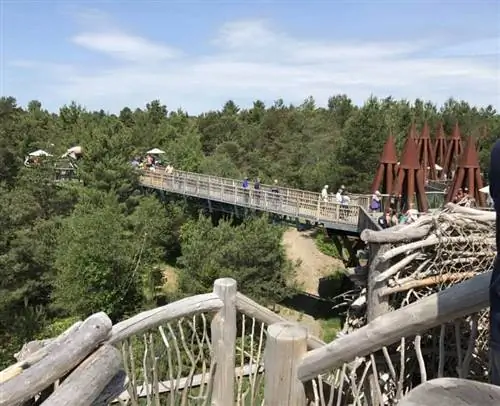Прогулка среди крон деревьев в Адирондаке.