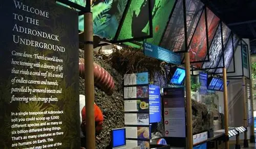 Узнайте о жутких ползунах и диких животных, которые находят убежище в музее The Wild Center.