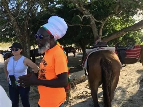 У Sun Fire есть конюшня с лошадьми, которые знают дорогу к пляжу!