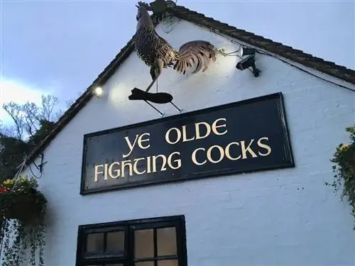 Самый старый паб в Англии, Ye Olde Fighting Cocks в Сент-Олбансе.