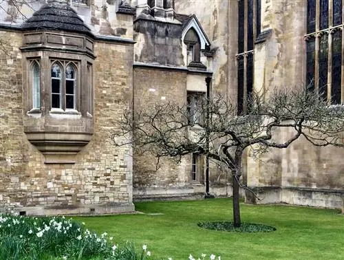 Вторжение в день «Д» Кембриджский университет